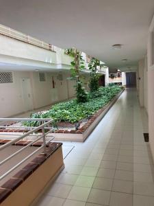 Apartament Sunset Aliss