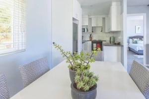 Ibis 1 in Cape St Francis Resort