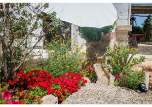 Masseria Verbena Agriturismo