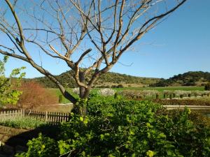 Casa Rural Torre Gargallo
