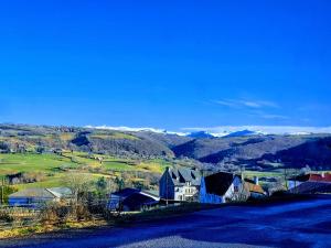 Appartements Gites Bellevue du Cantal : photos des chambres