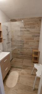 Appartements Gites Puy Mary et Puy Griou : Maison de Vacances