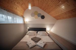 Superior Apartment room in Hőforrás Hotel