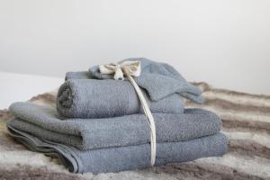 Appartements Coeur de Briquettes : photos des chambres