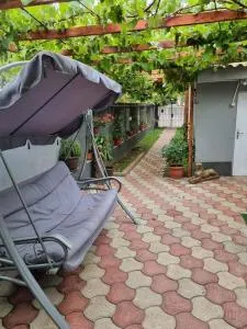 Vila Madalina - 南埃福列