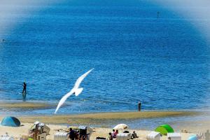 Am Sahlenburger Strand AS32