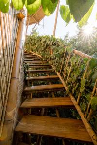 Bamboo Tree House romantic & luxury retreat