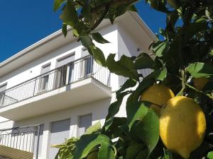 Ca Dei Cedri in Marciaga