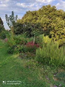 Agriturismo Asara img18