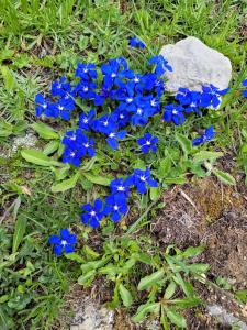 Appartements Orelle Val Thorens Appartement 2 pieces 5 personnes : photos des chambres