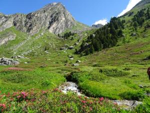 Appartements Orelle Val Thorens Appartement 2 pieces 5 personnes : photos des chambres