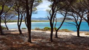 Valtur Baia dei Pini img9