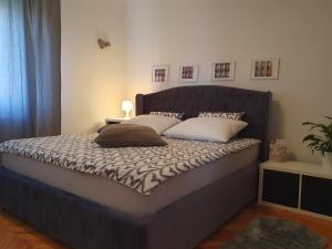 New comfortable app Dora