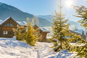 Villages vacances Lagrange Vacances Les Fermes de Samoens : photos des chambres