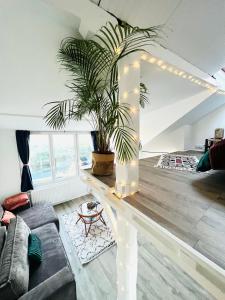 Appartements Le petit nid perche sous les toits, vue mer : photos des chambres