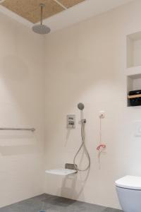 Elegant Rooms Lasarte