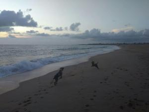 Precioso apartamento a 50 metros de la playa