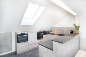 Löwe Apartment Blau Neuhausen am Rheinfall