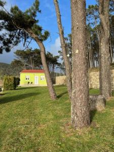 Apartamento Playa de Lires