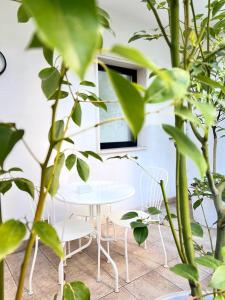 Suite con Terrazza