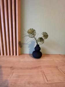 Minimalist 3 Studio Brasov