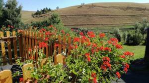 Holiday Home Moldava