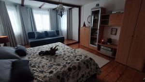 Holiday Home Moldava