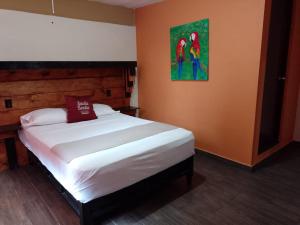 Casa Bonita Hotel y Hostal