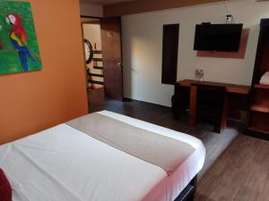 Casa Bonita Hotel y Hostal