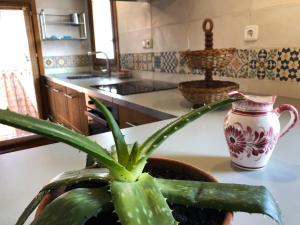 Old town Superbistak