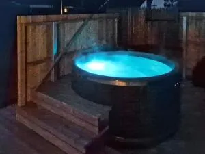 Holiday home Ulfborg LXXXV - Vemb