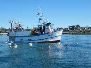 Maisons de vacances Finistere house 15 minutes from the bay of Morlaix : photos des chambres