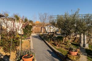 Apartments with a parking space Lopar, Rab - 14070 
