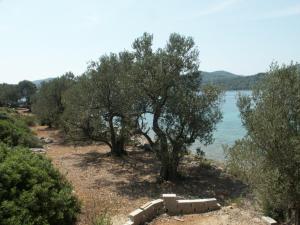 Secluded fishermans cottage Krknata, Dugi otok - 399