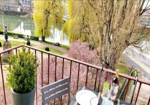 T1 cocooning à l’Hôtel de Ville