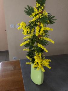 Chambre 2 côté sud chez particulier 1 lit 2 personnes