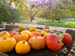 B&B / Chambres d'hotes La Ferme des Isles : photos des chambres