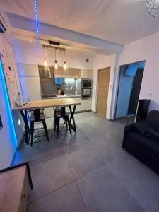 Magnifique T2 Meyzieu neuf charme et élégance - 沙西约