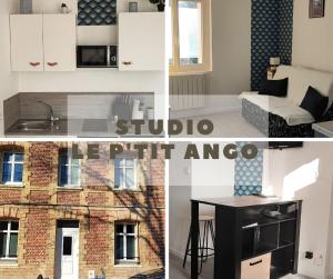 Appartements Studio avec terrasse en Rdc quartier Le Pollet-Le P'tit Ango : photos des chambres