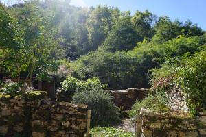 Maisons de vacances Les Hiboux : photos des chambres
