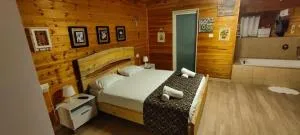 אחוזת חוף כנרת kinneret village - 基尼烈