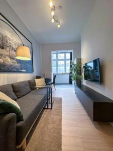 Modern City apt. -with 2 TV, Netflix and work desk