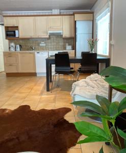 Iso-Syötteen Pilikki