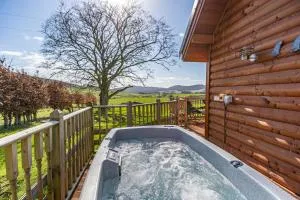 Wildcat Lodge - Cray