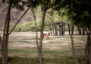 Explora en Parque Nacional Patagonia
