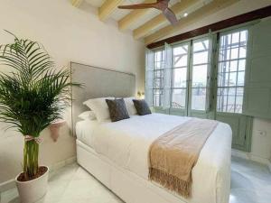 Juderia de Sevilla VI - Luxury Apartments