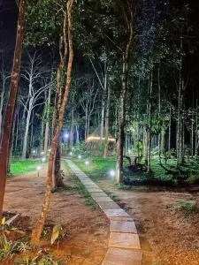 Tall Trees - Modern forest Villa in Wayanad - Begūr