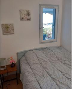 Appartement avec jardin, vue sur étang , proximité mer Gruissan Ayguades