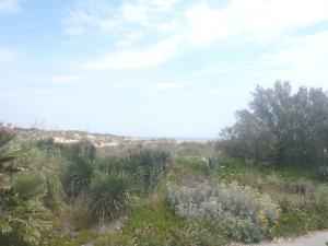 Hotels Hotel Les Dunes : photos des chambres