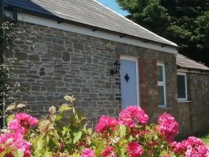 Converted rural stone cottage, Swansea - 阿伯克拉夫